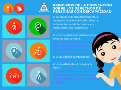 Principios_de_la_convencion